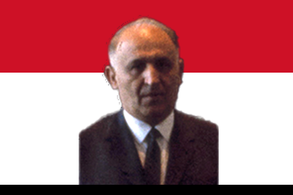 Mr. Mahmoud Fawzi