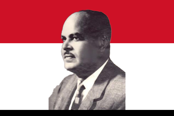 Mr. Mohamed Sedki Sulayman