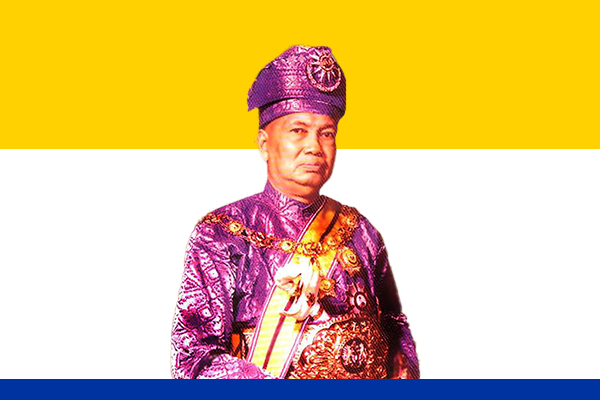 Sultan Hisamuddin
