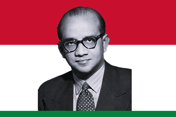 Mohamed Amin